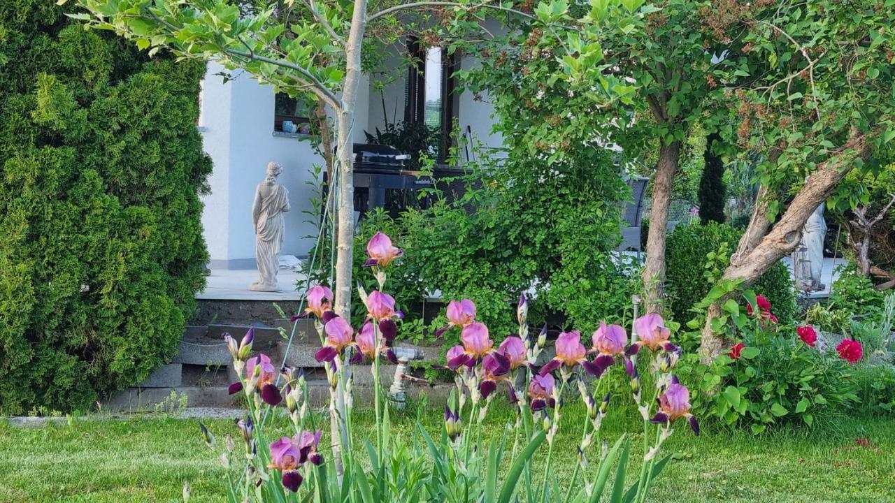 Northwest Studio Apartments Klagenfurt am Woerthersee Eksteriør bilde