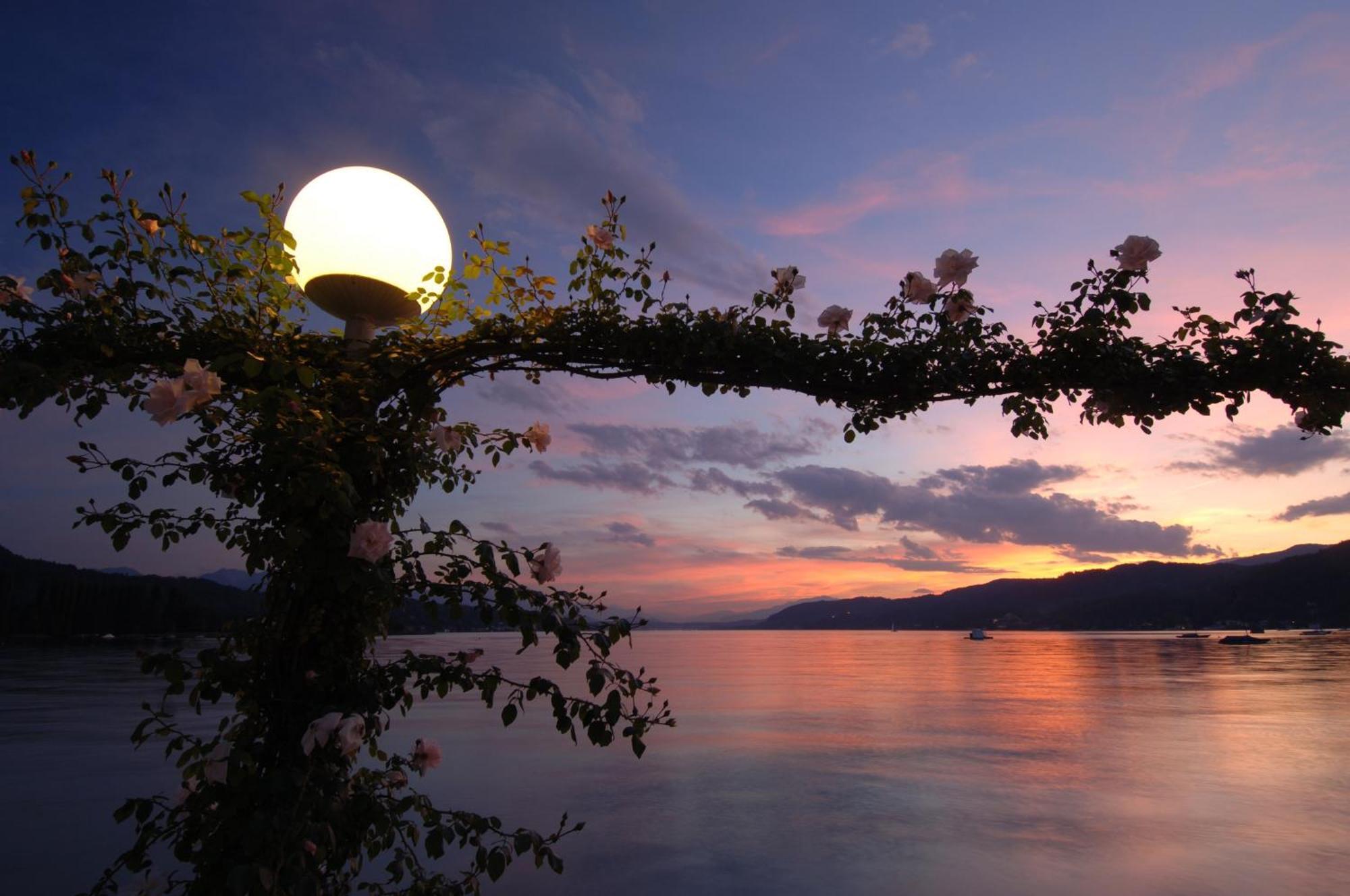 Northwest Studio Apartments Klagenfurt am Woerthersee Eksteriør bilde