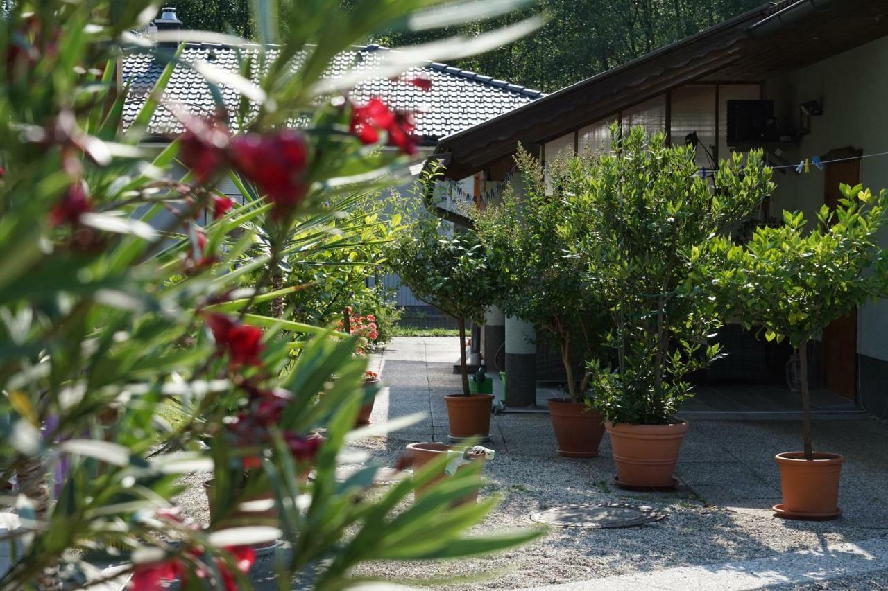 Northwest Studio Apartments Klagenfurt am Woerthersee Eksteriør bilde